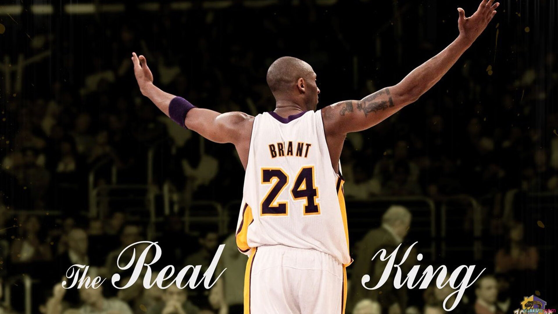 中国青少年篮球发展区域差异及均衡发展对策，中国青少年篮球发展现状