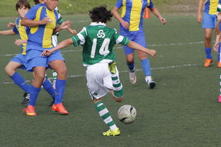 开云网站-女子冰球赛中，中国女队逆转韩国展现强大实力，中国女子冰球联赛